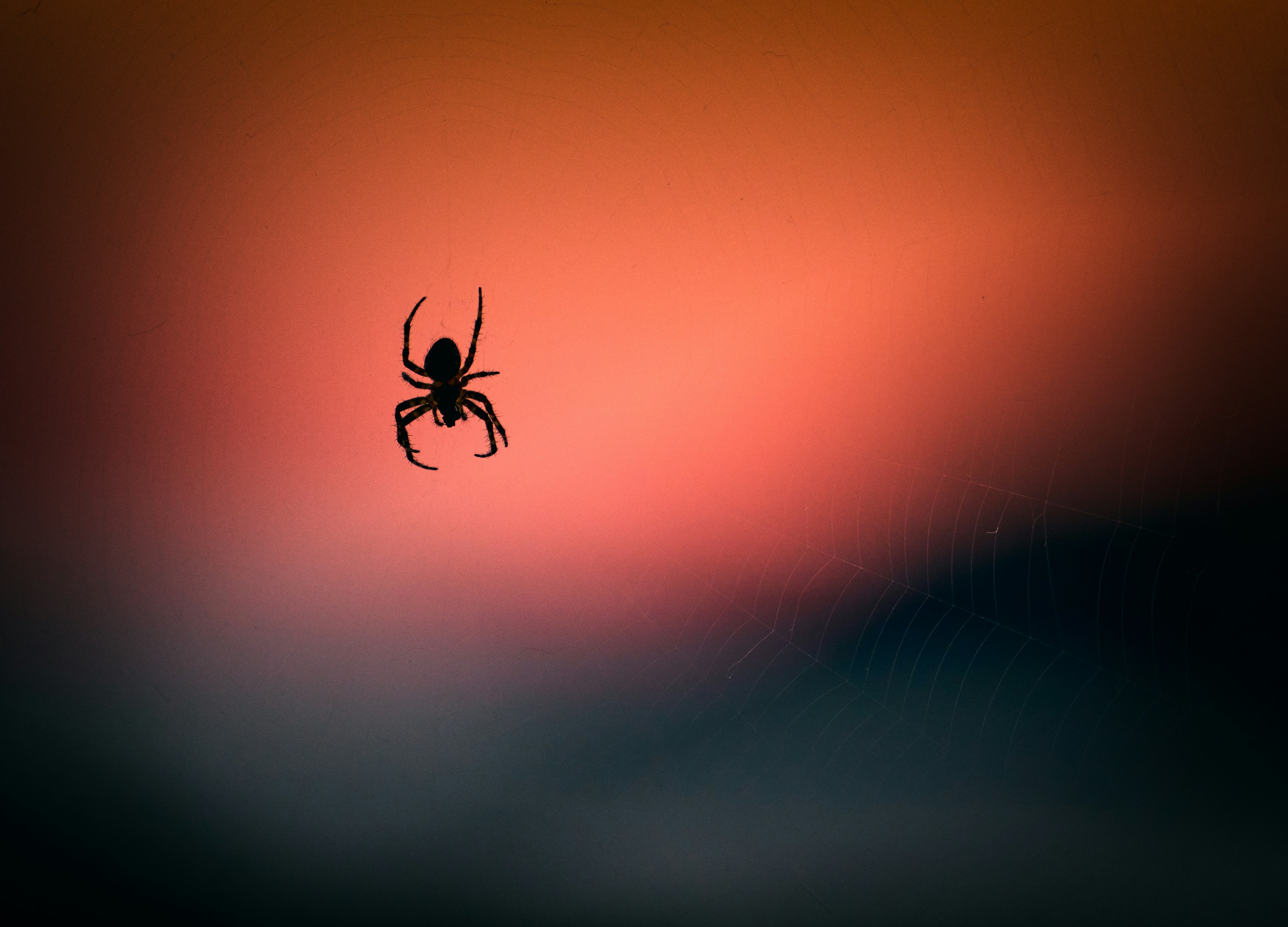 Photo de Vidar Nordli-Mathisen sur Unsplash